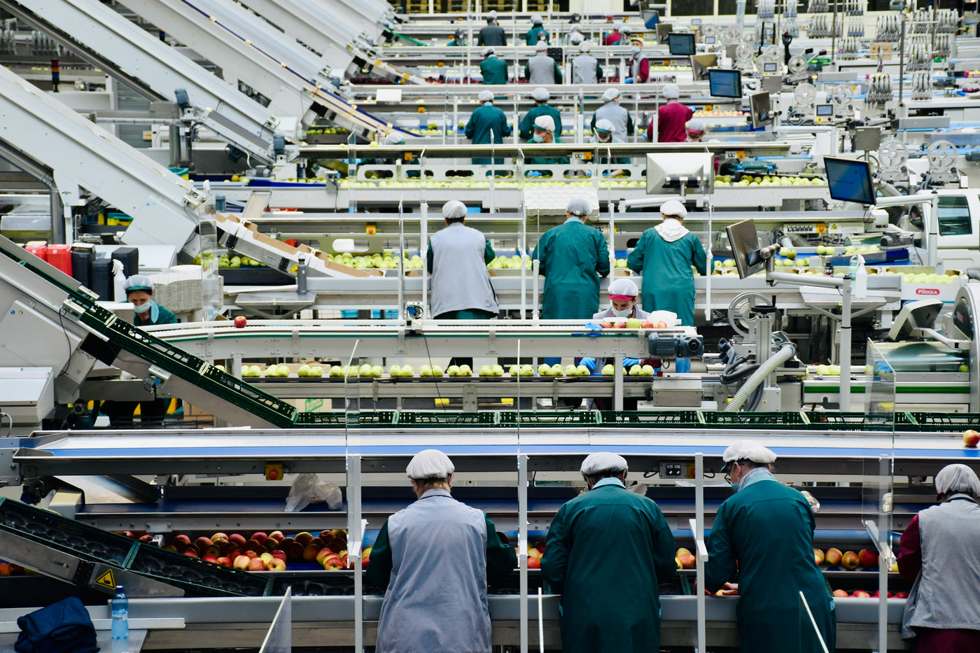 Food Processing by Arno Senoner, via Unsplash
