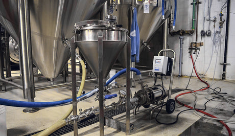 Dry Hopping Techniques