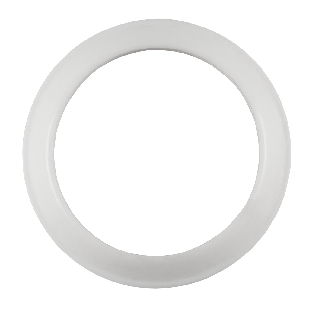 Bevel Seat Gasket