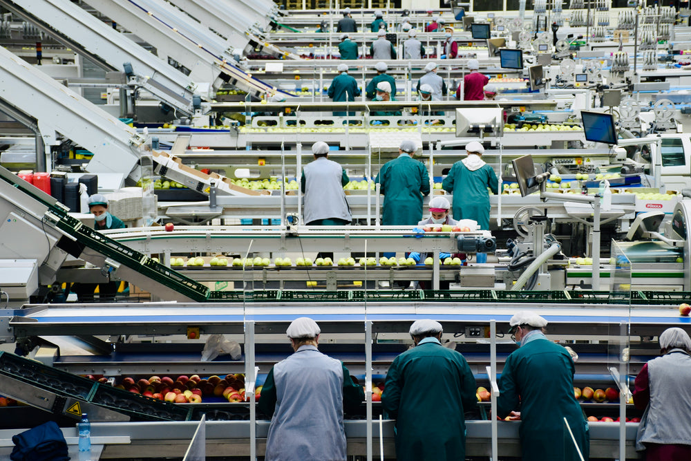 Food Processing by Arno Senoner, via Unsplash