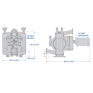Wilden PS1 (1" Tri-Clamp) Saniflo FDA AODD Pump