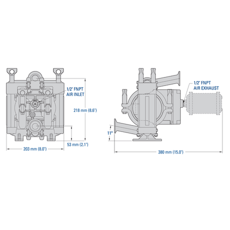 Wilden PS1 (1" Tri-Clamp) Saniflo FDA AODD Pump