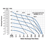 Wilden PS1 (1" Tri-Clamp) Saniflo FDA AODD Pump